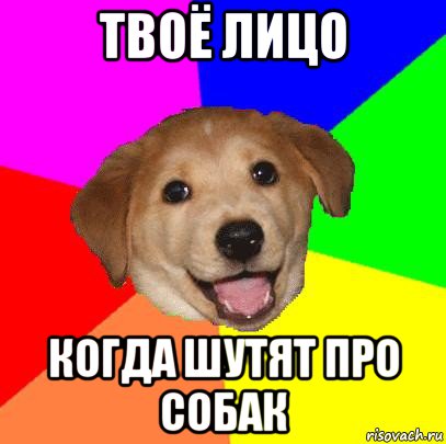 твоё лицо когда шутят про собак, Мем Advice Dog