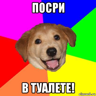 посри в туалете!, Мем Advice Dog