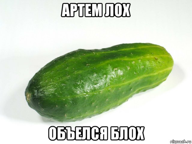 артем лох объелся блох