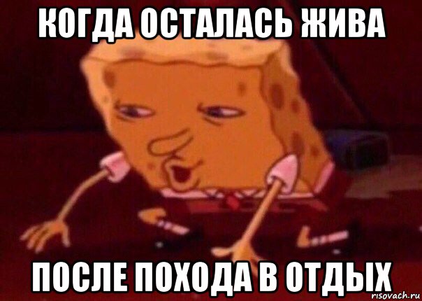 когда осталась жива после похода в отдых, Мем    Bettingmemes