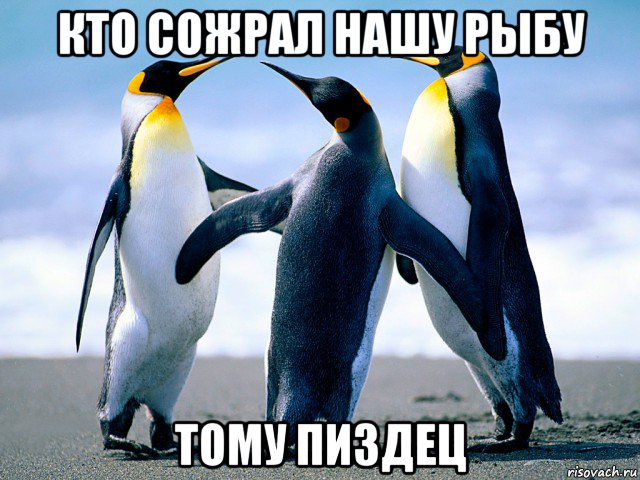 кто сожрал нашу рыбу тому пиздец
