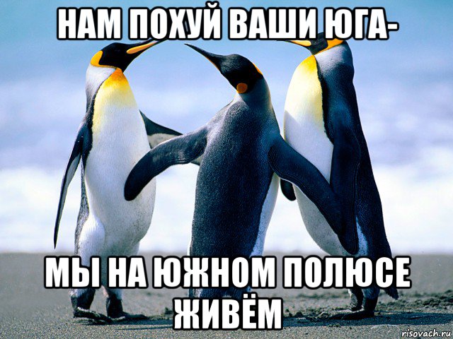 нам похуй ваши юга- мы на южном полюсе живём