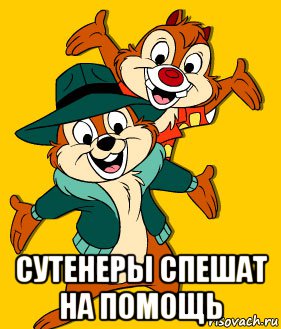  сутенеры спешат на помощь