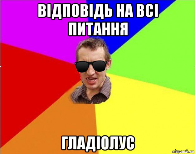 відповідь на всі питання гладіолус, Мем Чьоткий двiж