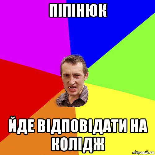 піпінюк йде відповідати на колідж, Мем Чоткий паца