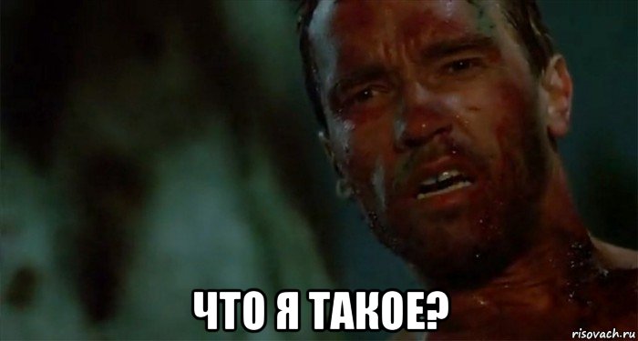  что я такое?