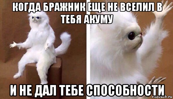 когда бражник еще не вселил в тебя акуму и не дал тебе способности, Мем Чучело кота