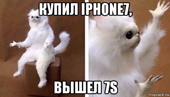 купил iphone7, вышел 7s, Мем Чучело кота