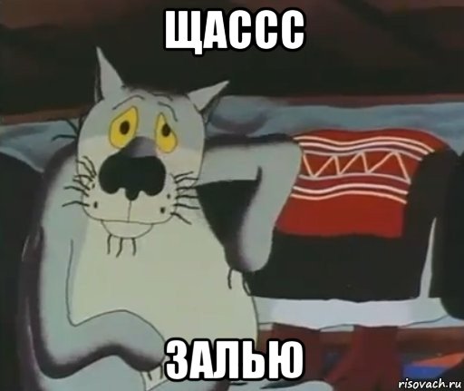 щассс залью