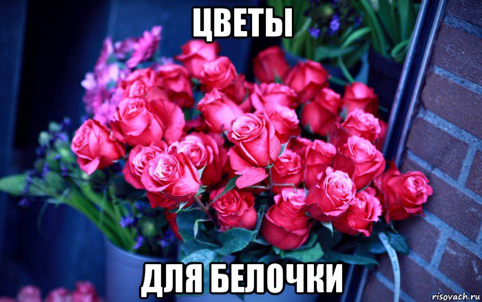 цветы для белочки, Мем Цветы