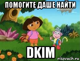 помогите даше найти dkim