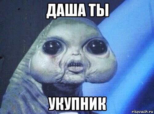 даша ты укупник
