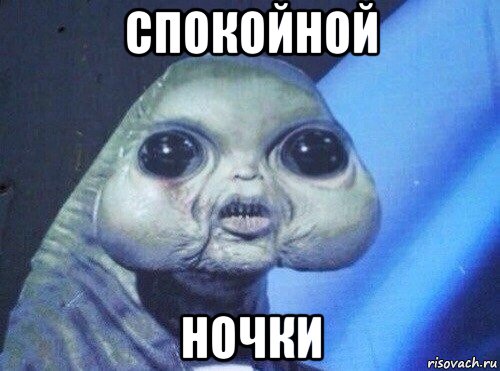 спокойной ночки