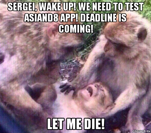 sergei, wake up! we need to test asiand8 app! deadline is coming! let me die!