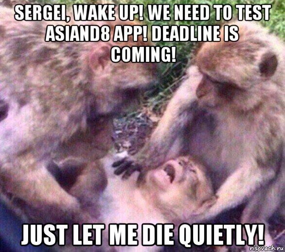 sergei, wake up! we need to test asiand8 app! deadline is coming! just let me die quietly!