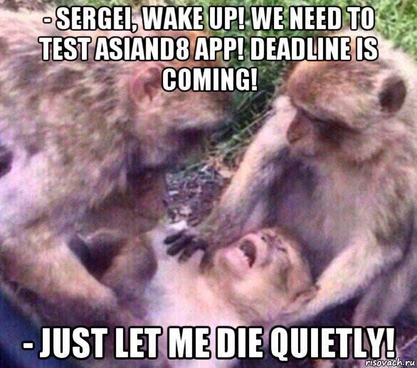 - sergei, wake up! we need to test asiand8 app! deadline is coming! - just let me die quietly!