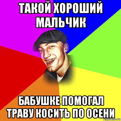 такой хороший мальчик бабушке помогал траву косить по осени, Мем ДЕРЗКИЙ БЫДЛОМЁТ