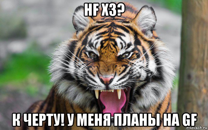 hf x3? к черту! у меня планы на gf, Мем ДЕРЗКИЙ ТИГР