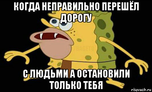 когда неправильно перешёл дорогу с людьми а остановили только тебя, Мем Дикий спанч боб