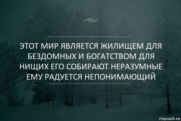 Этот Мир Является Жилищем Для Бездомных И Богатством Для Нищих Его Собирают Неразумные Ему Радуется Непонимающий, Комикс Игра слов 5