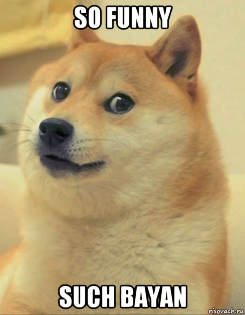 so funny such bayan, Мем doge woof