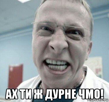  ах ти ж дурне чмо!