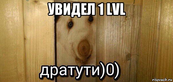 увидел 1 lvl , Мем  Дратути