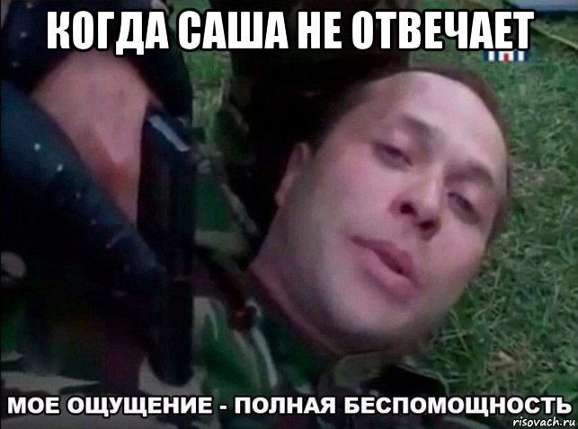 когда саша не отвечает 
