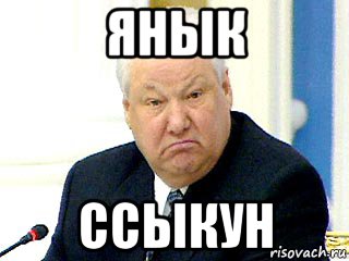янык ссыкун