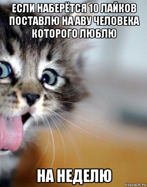 если наберётся 10 лайков поставлю на аву человека которого люблю на неделю
