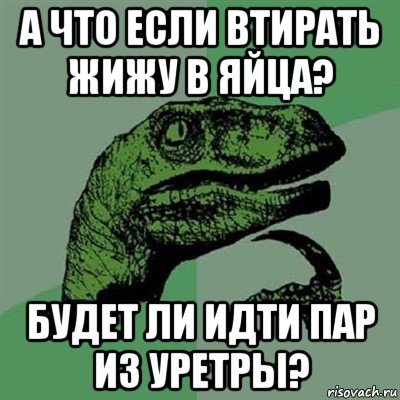 а что если втирать жижу в яйца? будет ли идти пар из уретры?, Мем Филосораптор