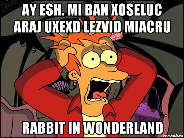 ay esh. mi ban xoseluc araj uxexd lezvid miacru rabbit in wonderland, Мем Фрай в панике