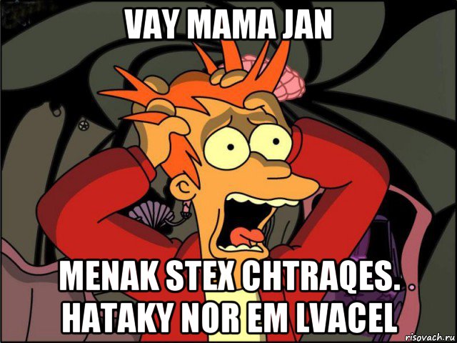 vay mama jan menak stex chtraqes. hataky nor em lvacel, Мем Фрай в панике