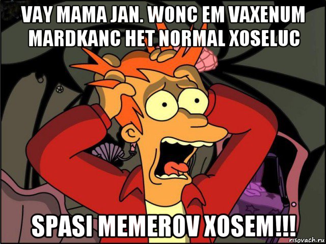 vay mama jan. wonc em vaxenum mardkanc het normal xoseluc spasi memerov xosem!!!, Мем Фрай в панике