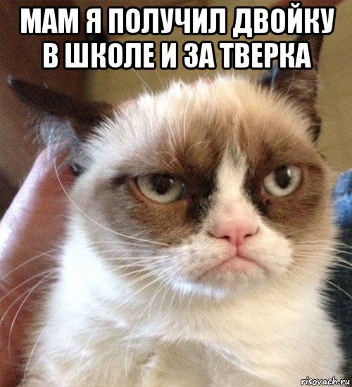 мам я получил двойку в школе и за тверка 