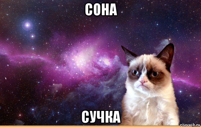 сона сучка, Мем grumpy cat космос