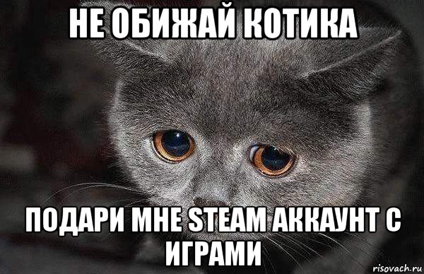 не обижай котика подари мне steam аккаунт с играми, Мем  Грустный кот