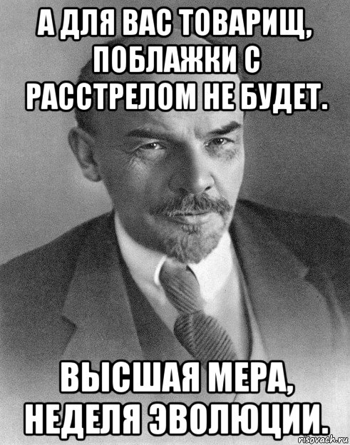 а для вас товарищ, поблажки с расстрелом не будет. высшая мера, неделя эволюции.