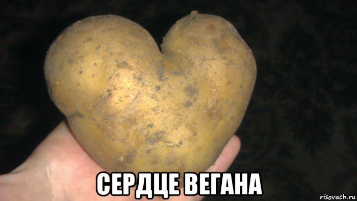  сердце вегана, Мем Иногда у овоща больше диапазон ч