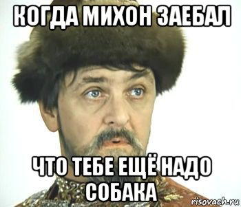 когда михон заебал что тебе ещё надо собака, Мем Иван васильевич