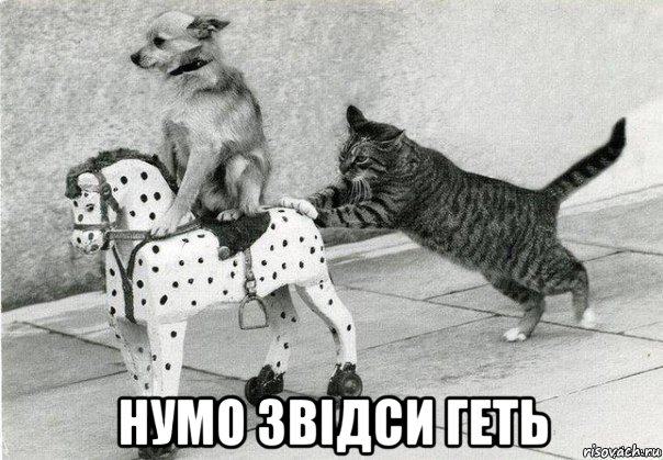  нумо звідси геть