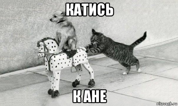 катись к ане, Мем Катись к хуям