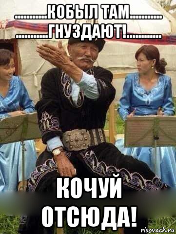 ...........кобыл там........... ...........гнуздают!............ кочуй отсюда!