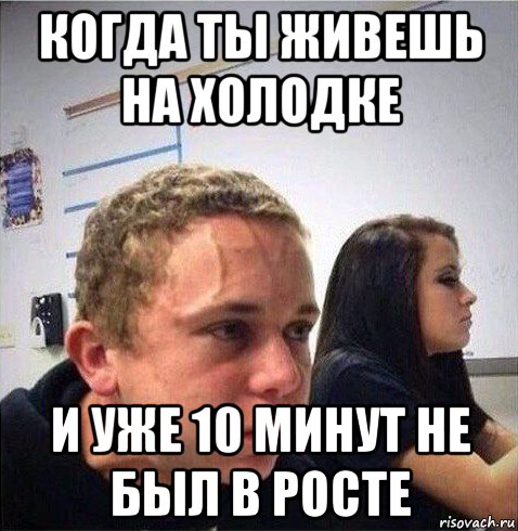 когда ты живешь на холодке и уже 10 минут не был в росте