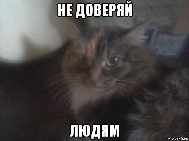 не доверяй людям