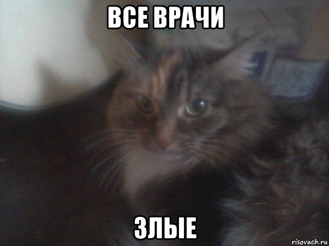 все врачи злые