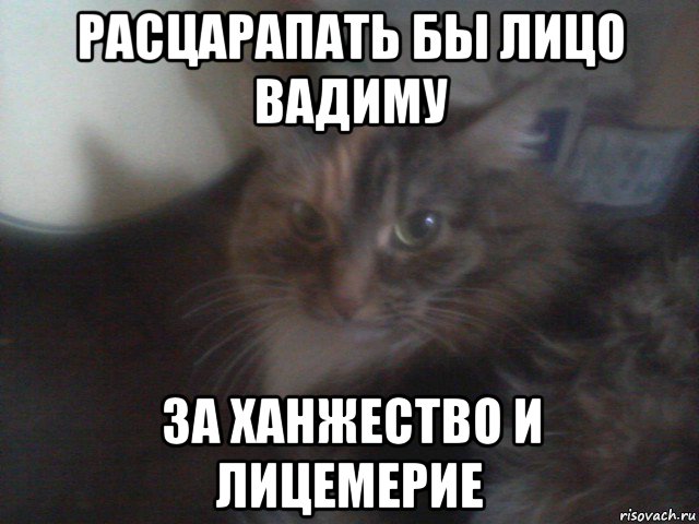 расцарапать бы лицо вадиму за ханжество и лицемерие