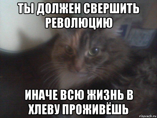 ты должен свершить революцию иначе всю жизнь в хлеву проживёшь