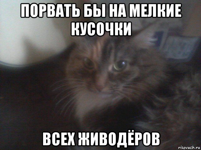 порвать бы на мелкие кусочки всех живодёров
