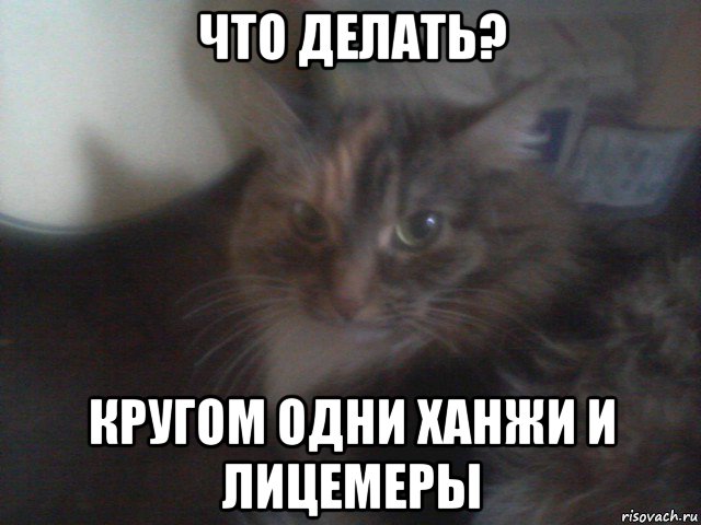 что делать? кругом одни ханжи и лицемеры